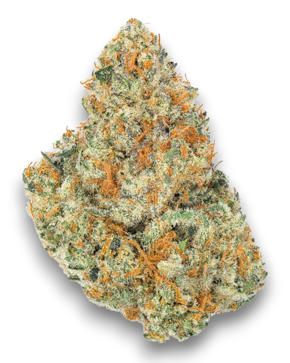 High THCA Flower – Hybrid (Budtenders Choice)