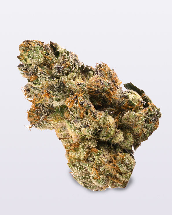 Dogwalkers Pre Rolls – Indica