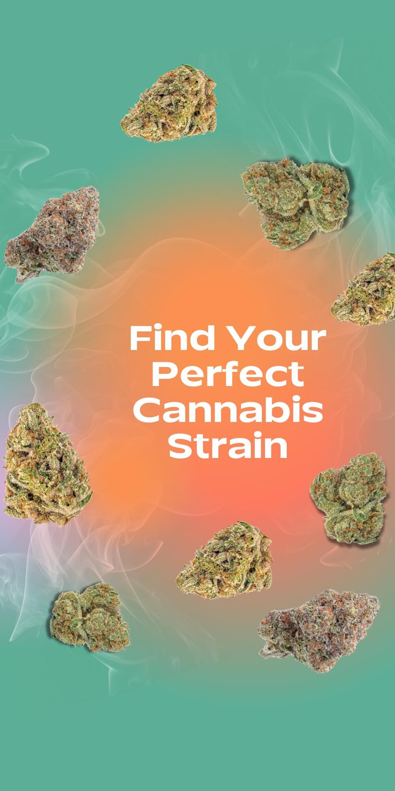 The KillaKush Belongs in Your Rotation IF...