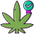 Indica